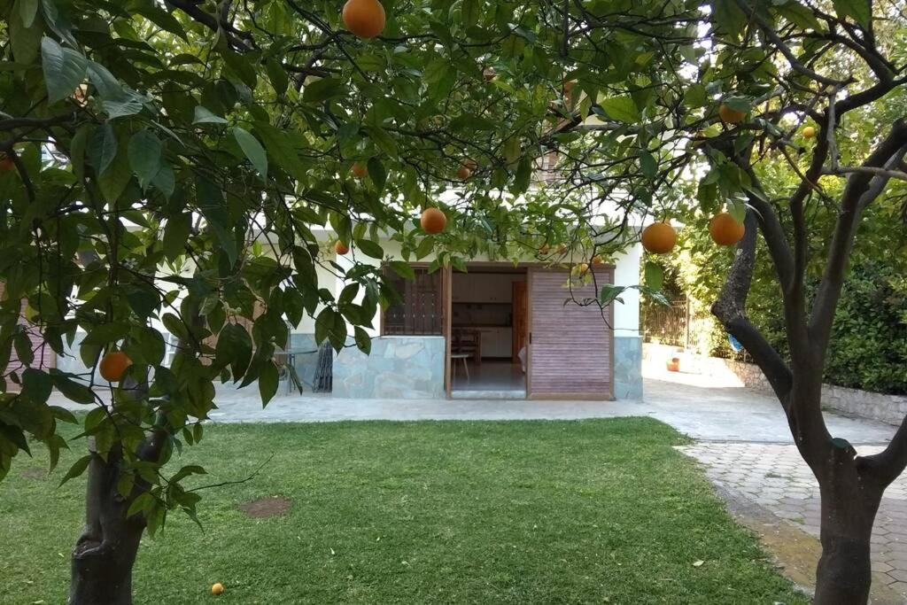 Electra Apartment In Epidaurus מראה חיצוני תמונה