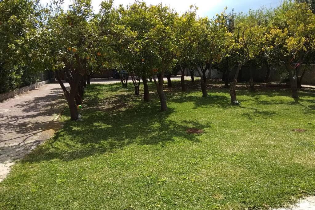 Electra Apartment In Epidaurus מראה חיצוני תמונה