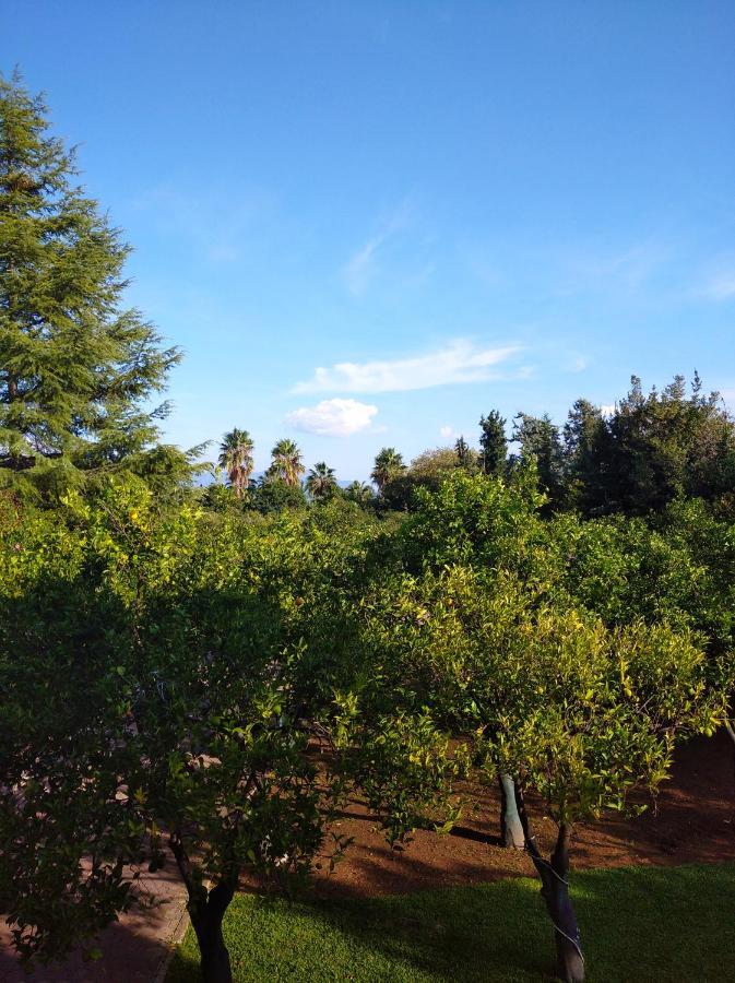 Electra Apartment In Epidaurus מראה חיצוני תמונה
